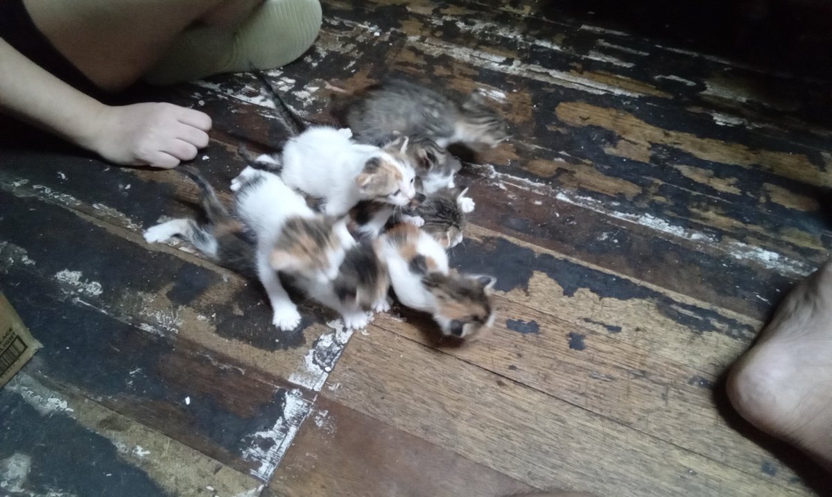 speedballpj's tweet photo. HALP! https://t.co/EUyRoqVQUy