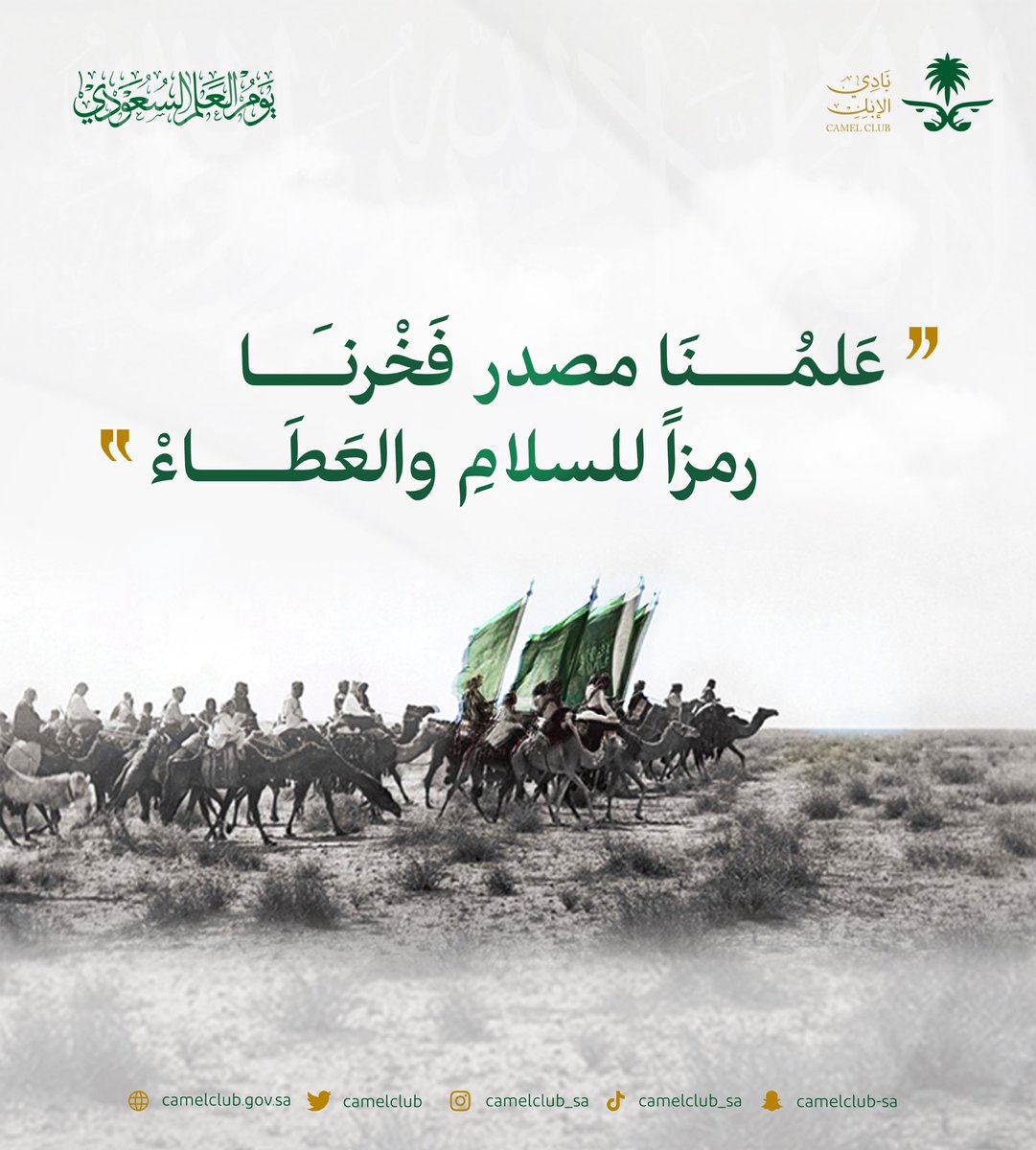 ”سارعي للمجد والعلياء.. مجدي لخالق السماء“

#نادي_الإبل | #يوم_العلم 🇸🇦