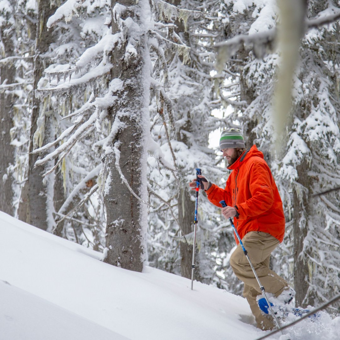 Manningpark's tweet photo. Step further into a Winter Wonderland with every stride at Manning Park. ❄️ Embrace the great outdoors and discover the beauty of snowshoeing.
#snowshoeing #winteractivity #winterhikes #manningpark #explore #cascademountains #familyholiday #nature #mountains #freshair https://t.co/beaUEBs2V4