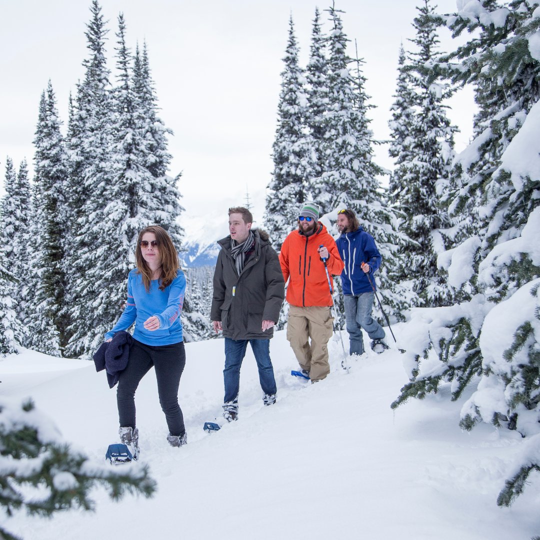 Manningpark's tweet photo. Step further into a Winter Wonderland with every stride at Manning Park. ❄️ Embrace the great outdoors and discover the beauty of snowshoeing.
#snowshoeing #winteractivity #winterhikes #manningpark #explore #cascademountains #familyholiday #nature #mountains #freshair https://t.co/beaUEBs2V4