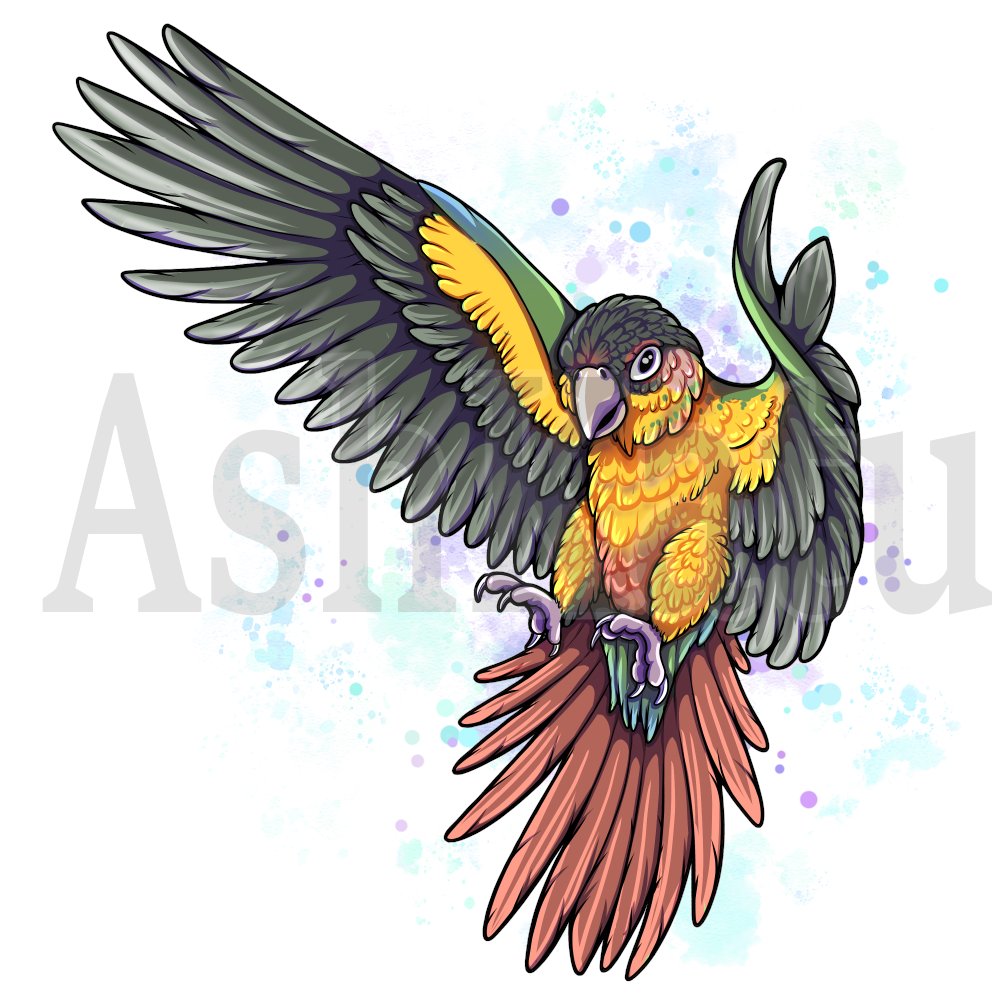 Ash1eon's tweet photo. BIRB

Kiri Birb completed for the ever so lovely @Everwynne of their pretty little conure who is beloved by her stream community. (and me as well ;) )

#conure #greencheekconure #bird #parrot #petbird #birdart #conureart #birdartwork #birds #conures #artistsontwitter #twitchart https://t.co/CPS4WANB7Q