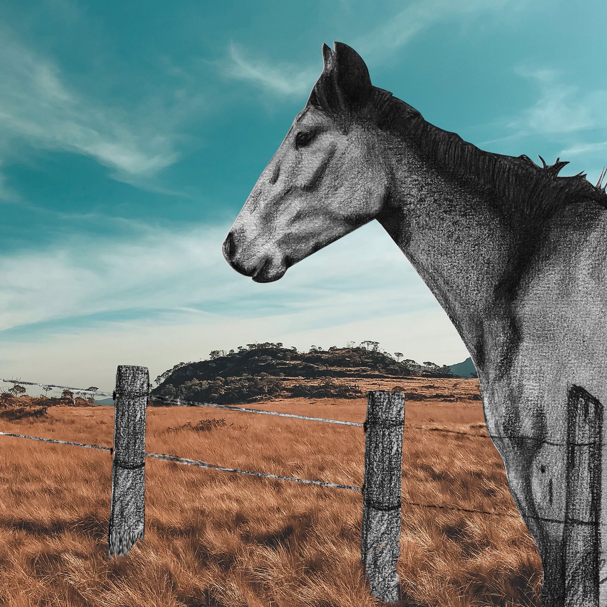 Sharing.
#grafito #digitalart