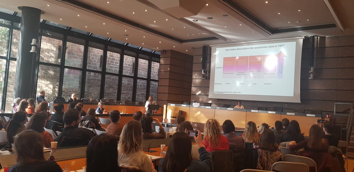 On continue avec une session sur le #TDI avec <a href="/CoralineHingray/">Coraline Hingray</a> #trauma #TSPT