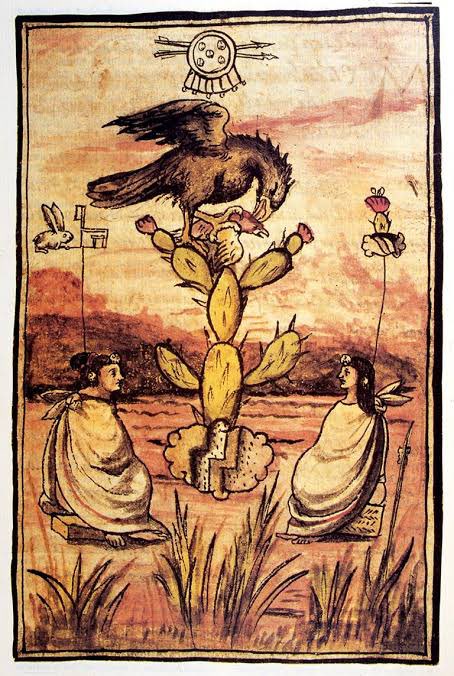 Cuauhtemoc_1521's tweet image. “Andando de una parte en otra divisaron el tunal, y encima de él, el águila con las alas extendidas hacia los rayos del sol,tomando el calor de él, y el frescor de la mañana, y en las uñas tenía un pájaro muy galano de plumas muy preciadas y resplandecientes