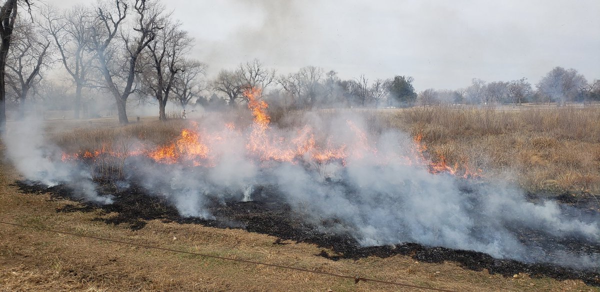 Burn day at Carey Park Golf Course.