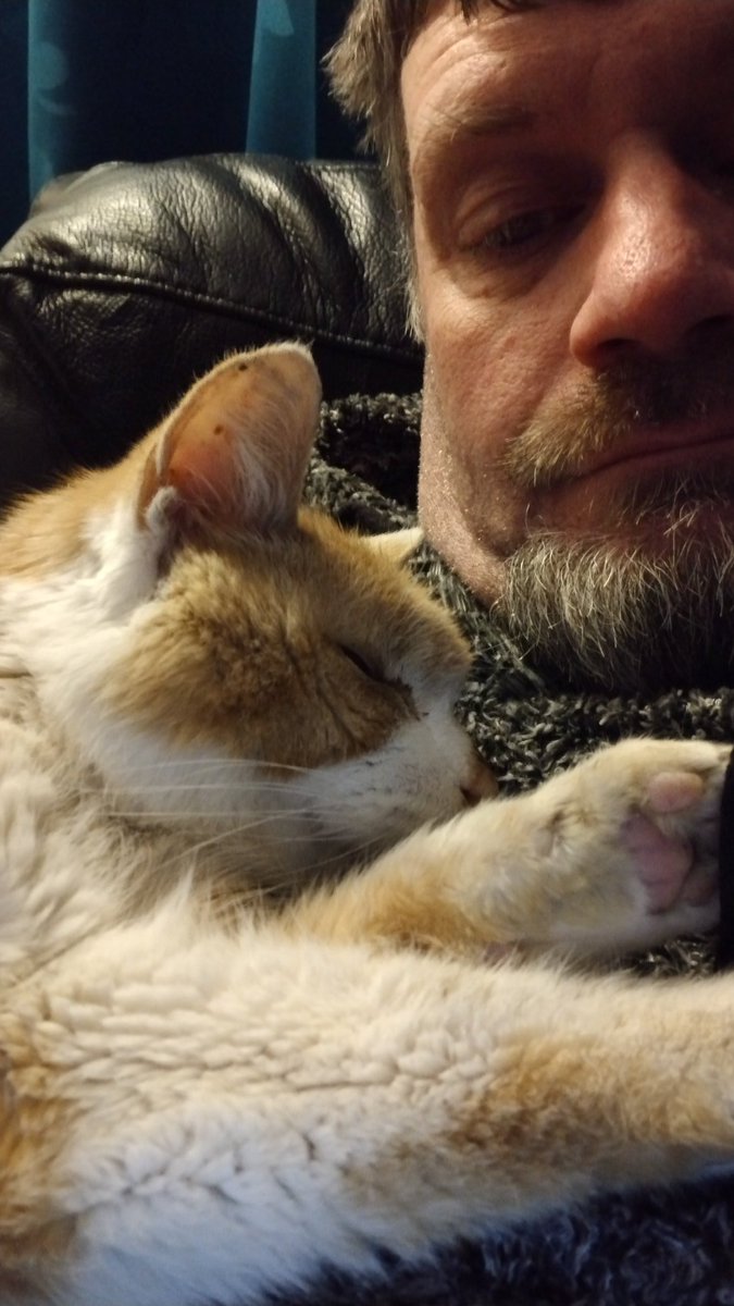 Wordsinprogres1's tweet photo. My best friend - like a son to me: Simba Heeley 2004 to 2023 RIP my beloved ❤️ https://t.co/WRz61xdxta