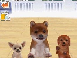 bobshorizon's tweet photo. 4 screenshots of games that shaped your gamer childhood 🥺♥️ https://t.co/NUaclEk3Ut