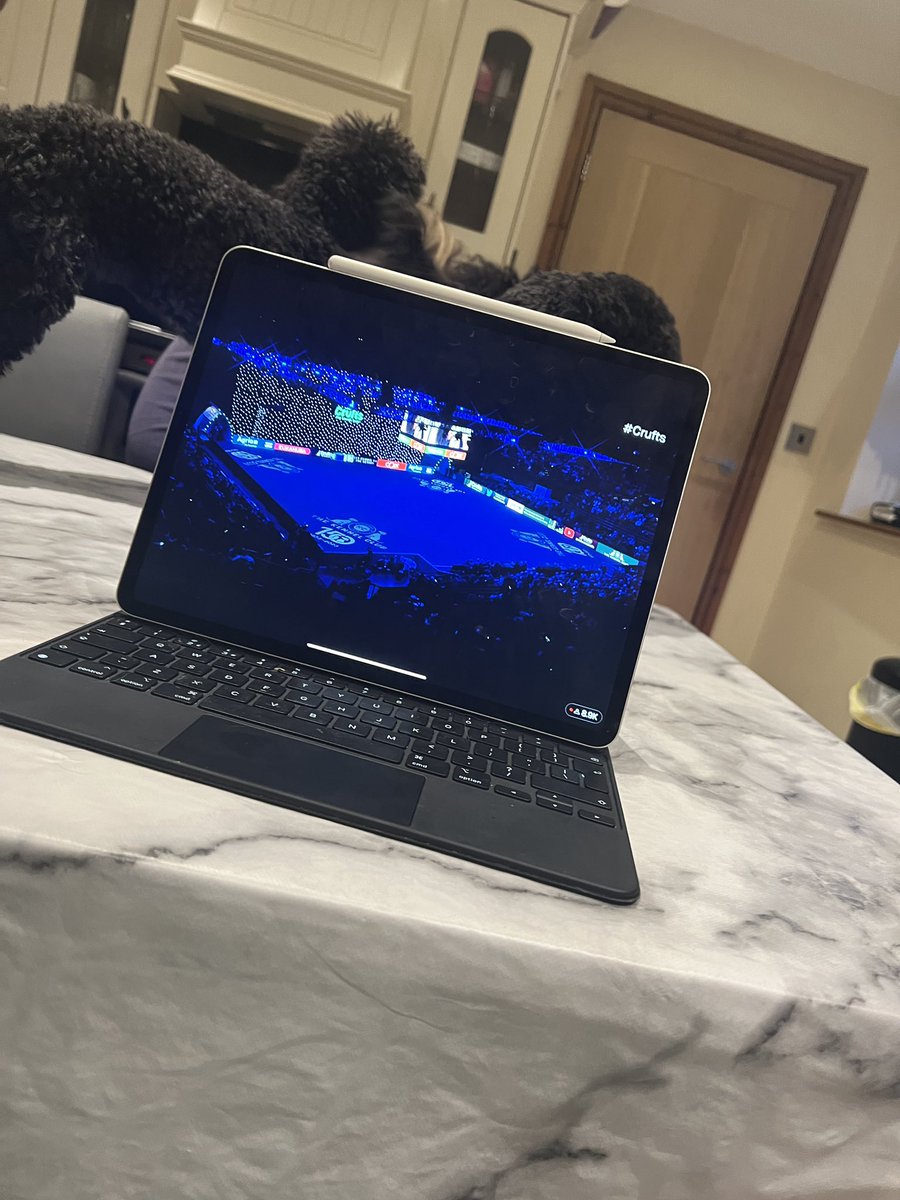 rubyjames751's tweet image. #Crufts