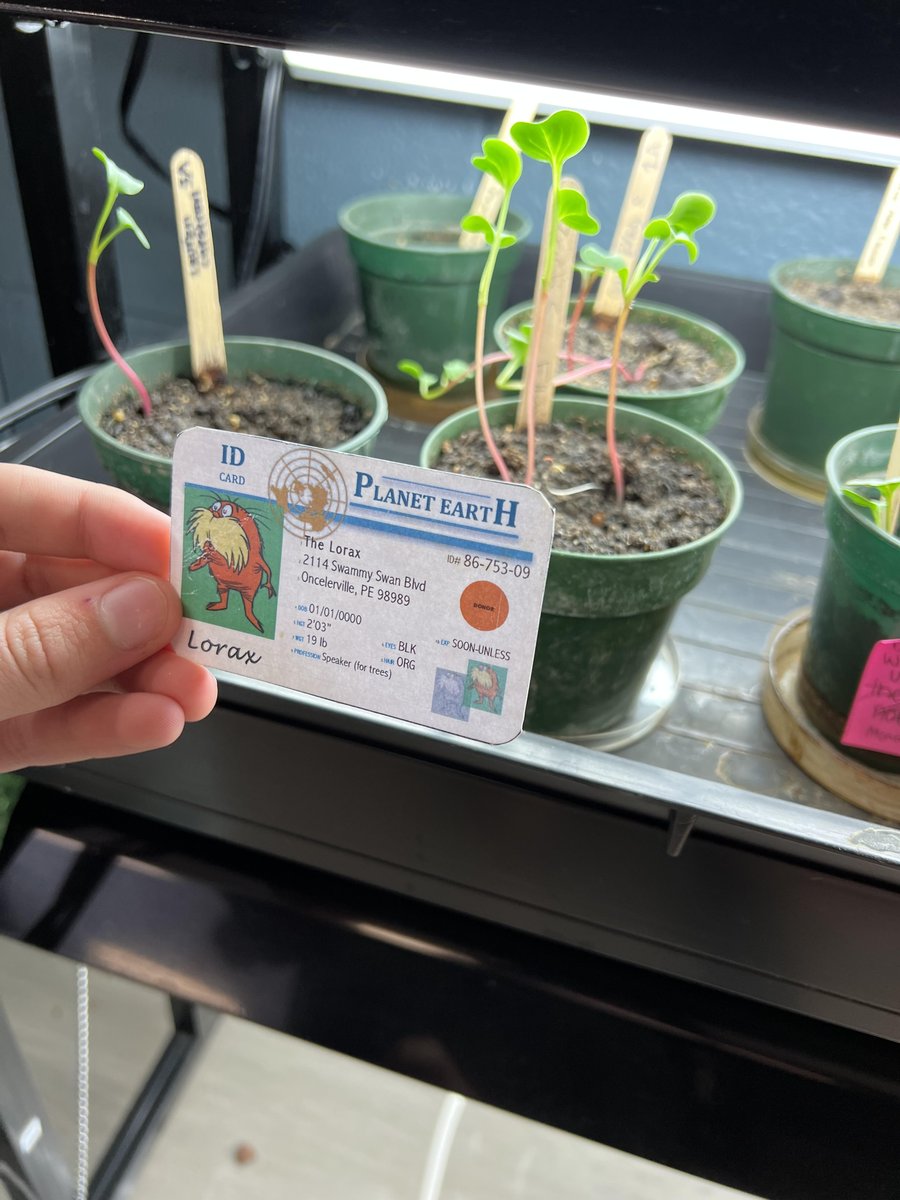 DudorEthan's tweet photo. By growing my radishes, I was able to gain a better understanding of how certain plants need different types of soil. Using the soil classification chart we were able to figure out that radishes need a light sandy loam; however, all plants are different. #apesland @franklinlorax https://t.co/sXW4MzKiSk