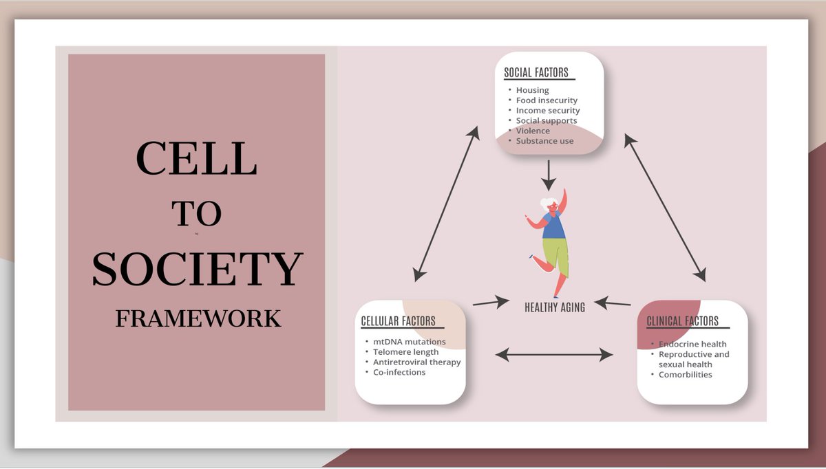 HIV_HEAR_me's tweet photo. #BCC3 CAB
We're getting started today with a reminder of the unique approach taken by BCC3. Our interdisciplinary study takes a cell-to-society framework that recognizes the interplay of cellular, clinical and social factors in the #healthyaging of #WomenLivingWithHIV https://t.co/hKvhFGSFrZ