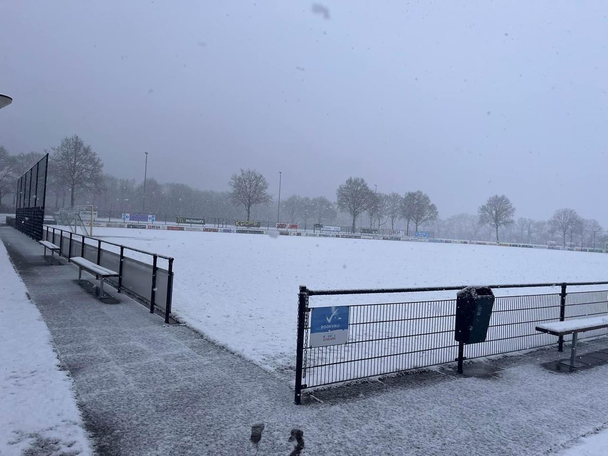 SV Borger tweet media