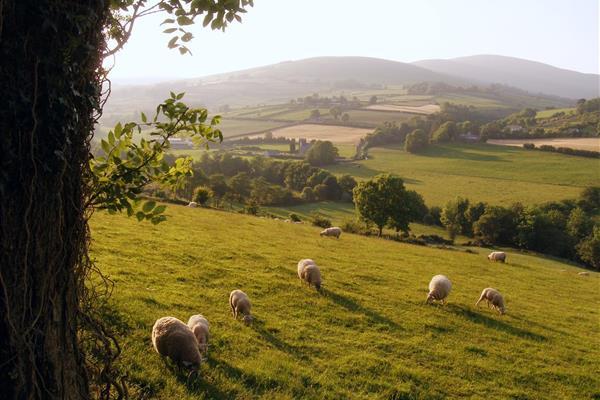 orien (@ladyoforien) on Twitter photo 