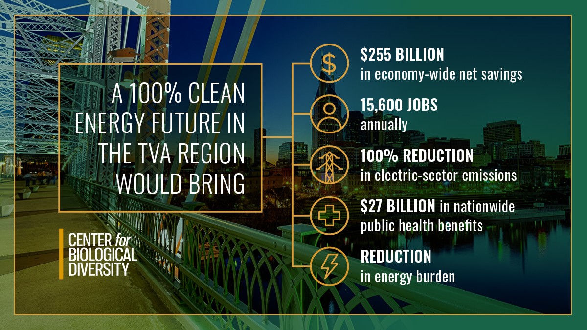 EnDemYall's tweet photo. NEW REPORT: 100% clean, renewable energy at TVA would save families over $250 BILLION by 2050. As prices skyrocket, now’s the chance for @TVAnews to lead the country off risky fossil fuels. https://t.co/LpfsJw5lIS
Read more from @CenterforBioDiv @GridLabEnergy &amp; @SynapseEnergy: https://t.co/Wq79Saeyyo