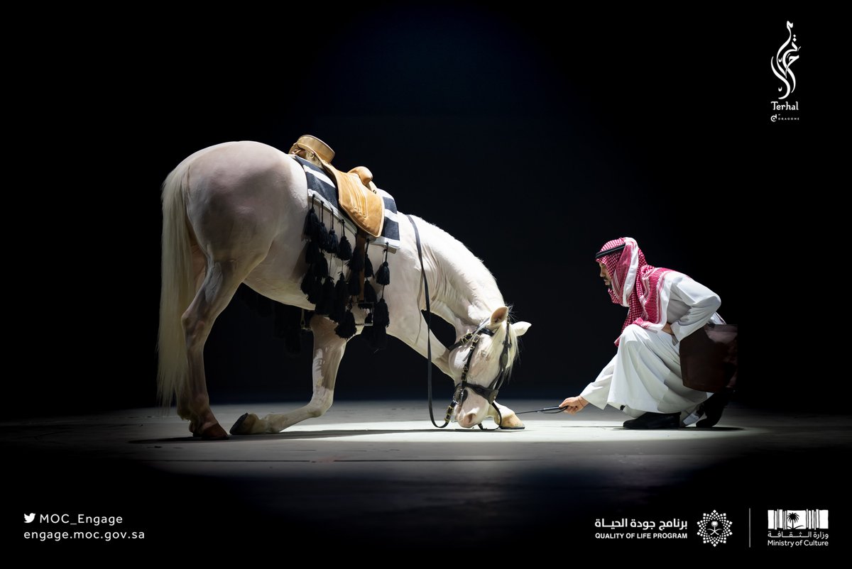 #عرض_ترحال.. مغامرة رهيبة حول المملكة🗺️

#الفعاليات_الثقافية