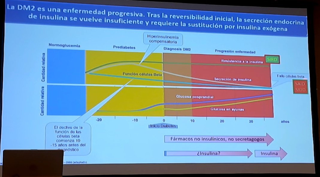 soga_hta's tweet photo. A continuación @mbotana guía para la insulinizacion en 2023 https://t.co/ClYpiGjtrg