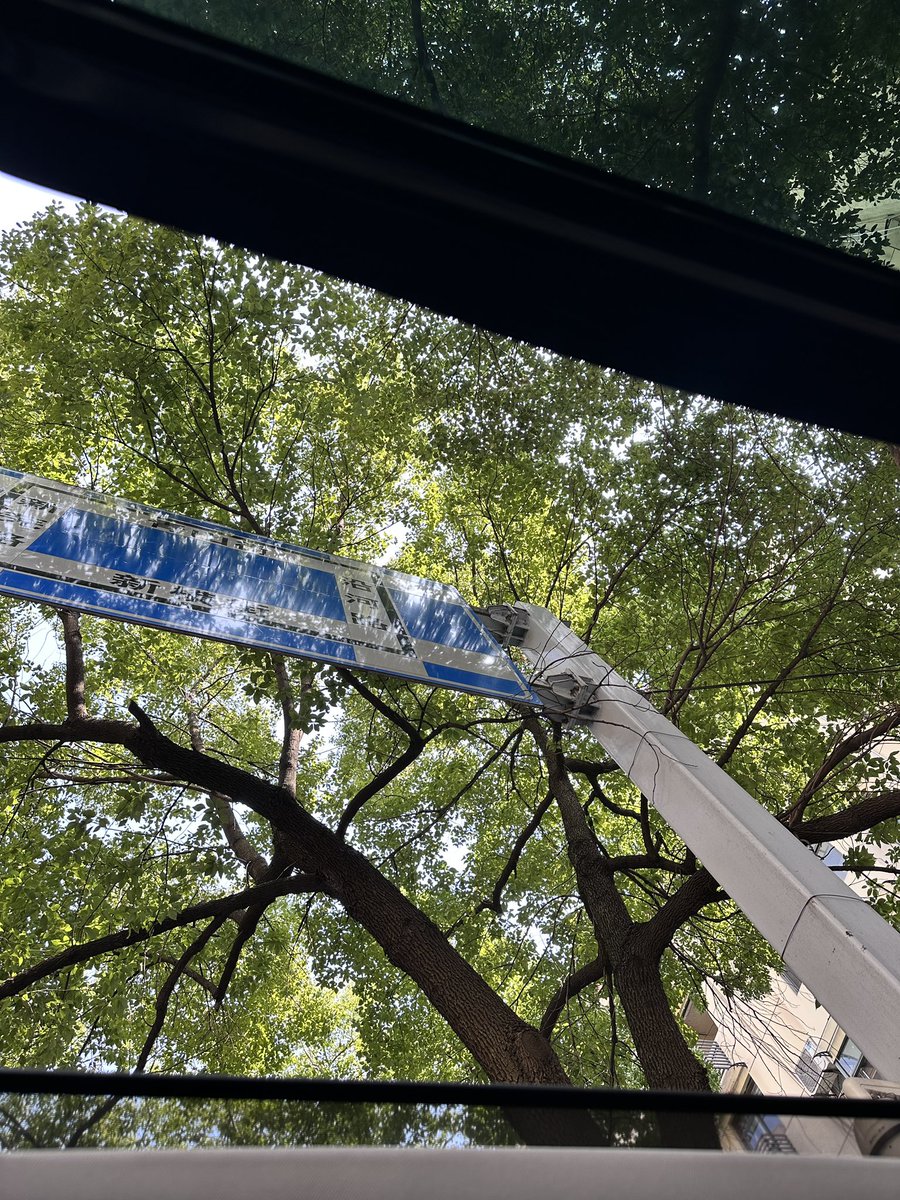 折欢 tweet media