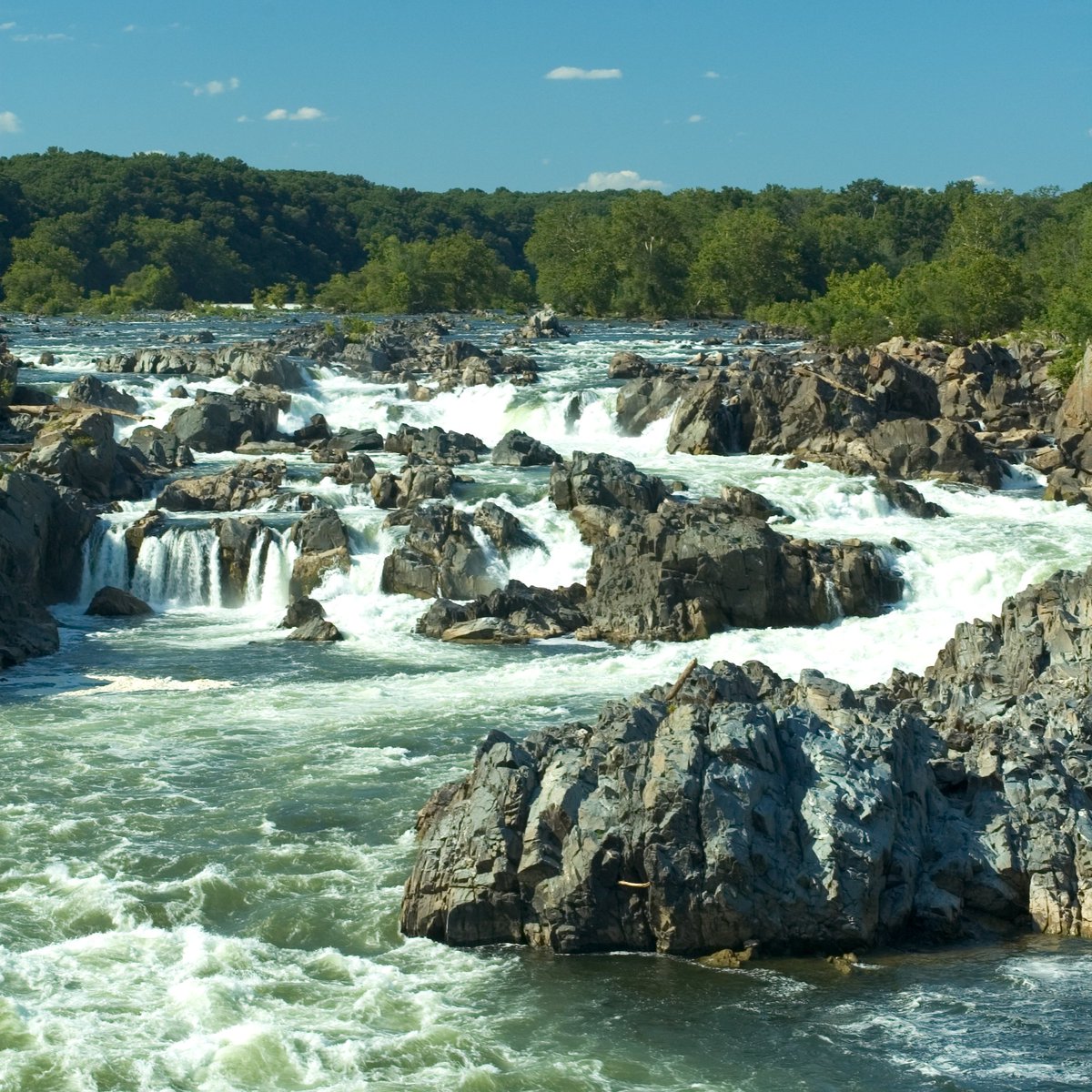 In honor of International Day of Action for Rivers, here's a photo of our favorite: The Potomac, which provides 90 percent of the Washington, D.C. metro area's drinking water. #water #naturalresource