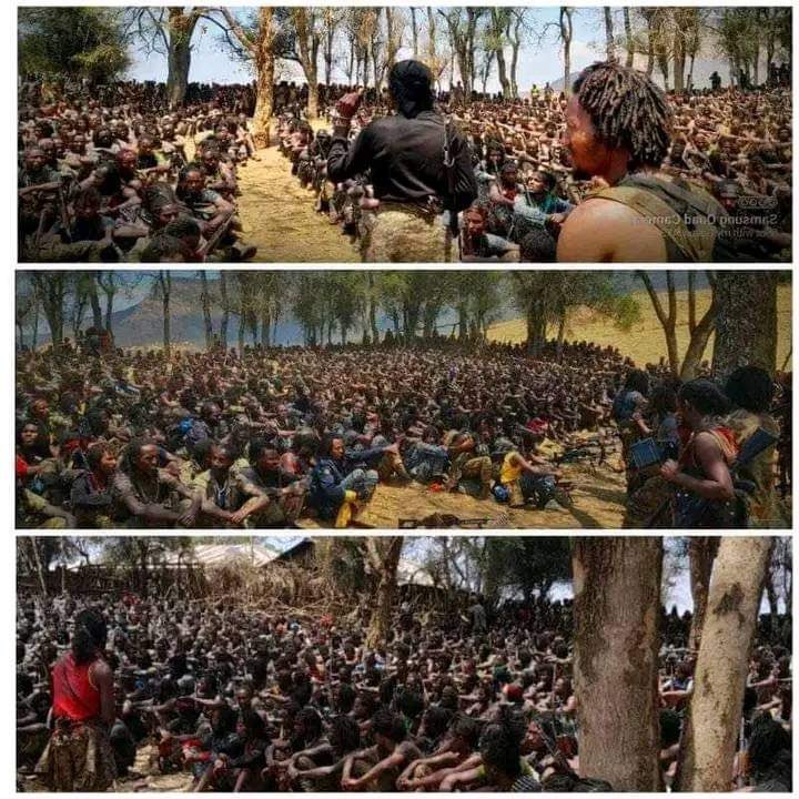 Firaol03750593's tweet photo. Jabaannee ni lollaa,ni injjiffaanna. Billiisuummaan tolaan dhufu hin jiru. Abbaan biyyuummaa tolan argannuu hin jiru. Ummaatni hin qabsofne ummaata miti. Mirgi tolan argaamuu hin jiru. Har’a as genyee. Qabsoonis ittumaa fufa ❤️💚❤️#WBO #OromoLiberationArmy #OromoVoice #SaveOromo https://t.co/SIYgaPg6NC