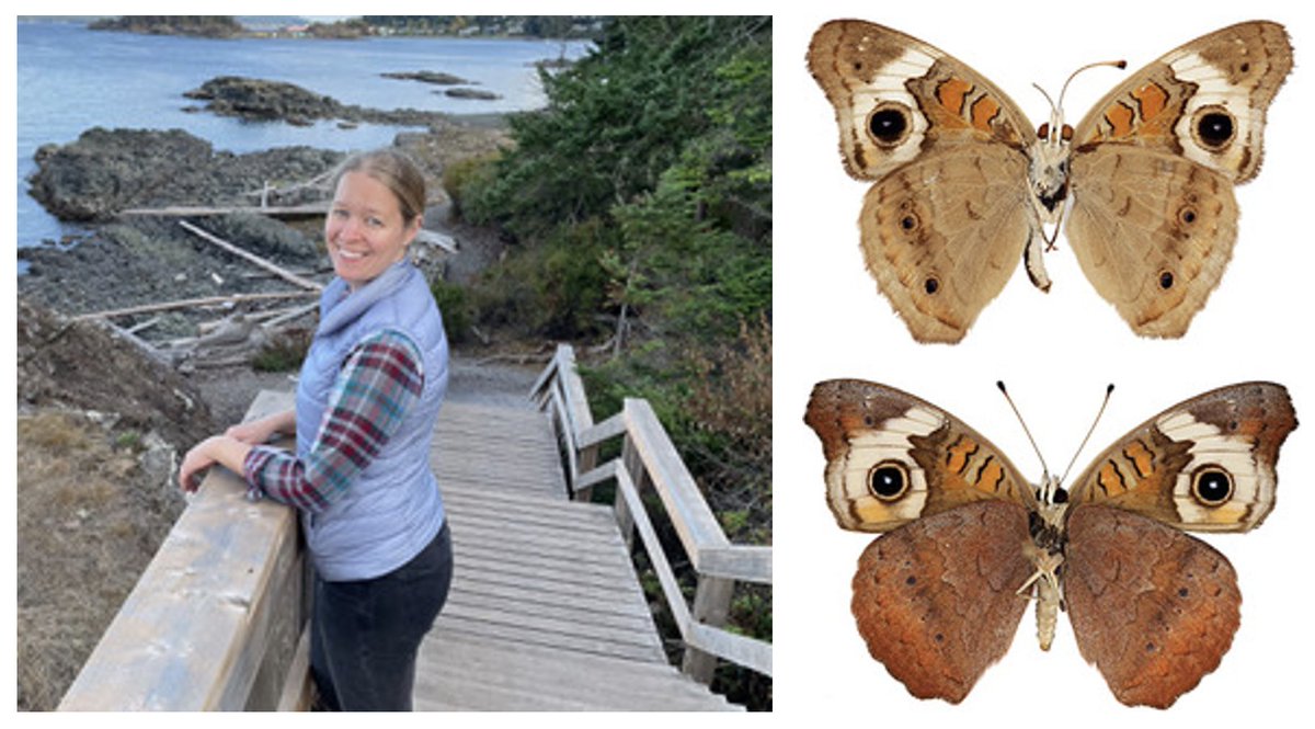 Clemson University Biological Sciences (@clemson_biolsci) on Twitter photo Join us for seminar - Mar 13, 11:15am EDT
Excited to welcome <a href="/karinburg/">Dr. Karin van der Burg</a>, postdoc fellow in <a href="/evo_genomics/">James Lewis</a> lab at Clemson University, presenting, "Genomic architecture of a genetically assimilated seasonal color pattern"
Host- <a href="/ParkinsonCl/">Chris L. Parkinson</a>
Email Biolsci@clemson.edu for Zoom link Join us for seminar - Mar 13, 11:15am EDT
Excited to welcome <a href="/karinburg/">Dr. Karin van der Burg</a>, postdoc fellow in <a href="/evo_genomics/">James Lewis</a> lab at Clemson University, presenting, "Genomic architecture of a genetically assimilated seasonal color pattern"
Host- <a href="/ParkinsonCl/">Chris L. Parkinson</a>
Email Biolsci@clemson.edu for Zoom link