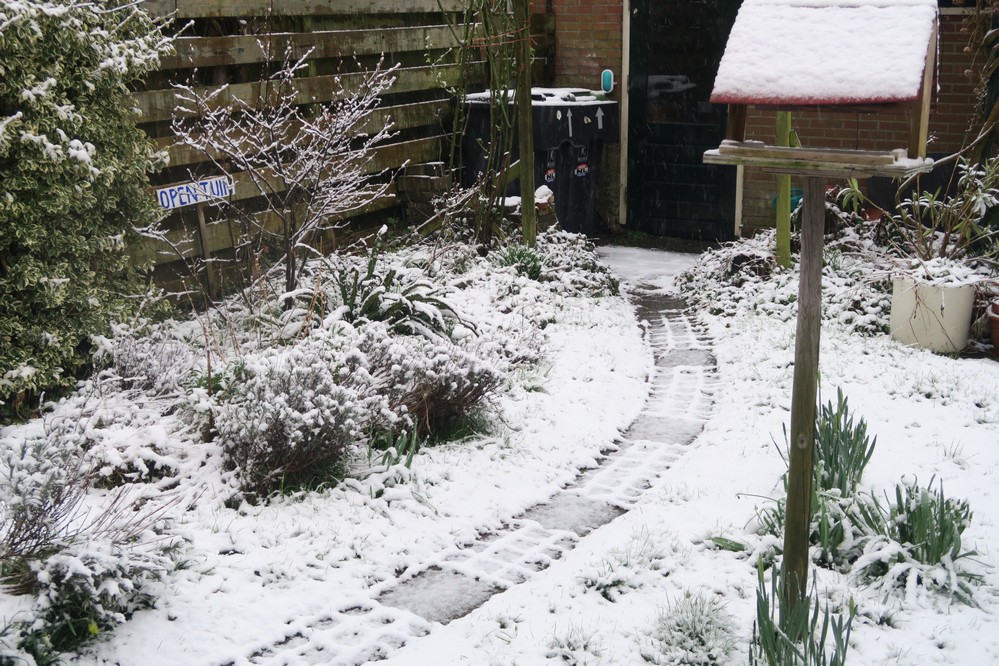 Vanmiddag in Sint Pancras 2