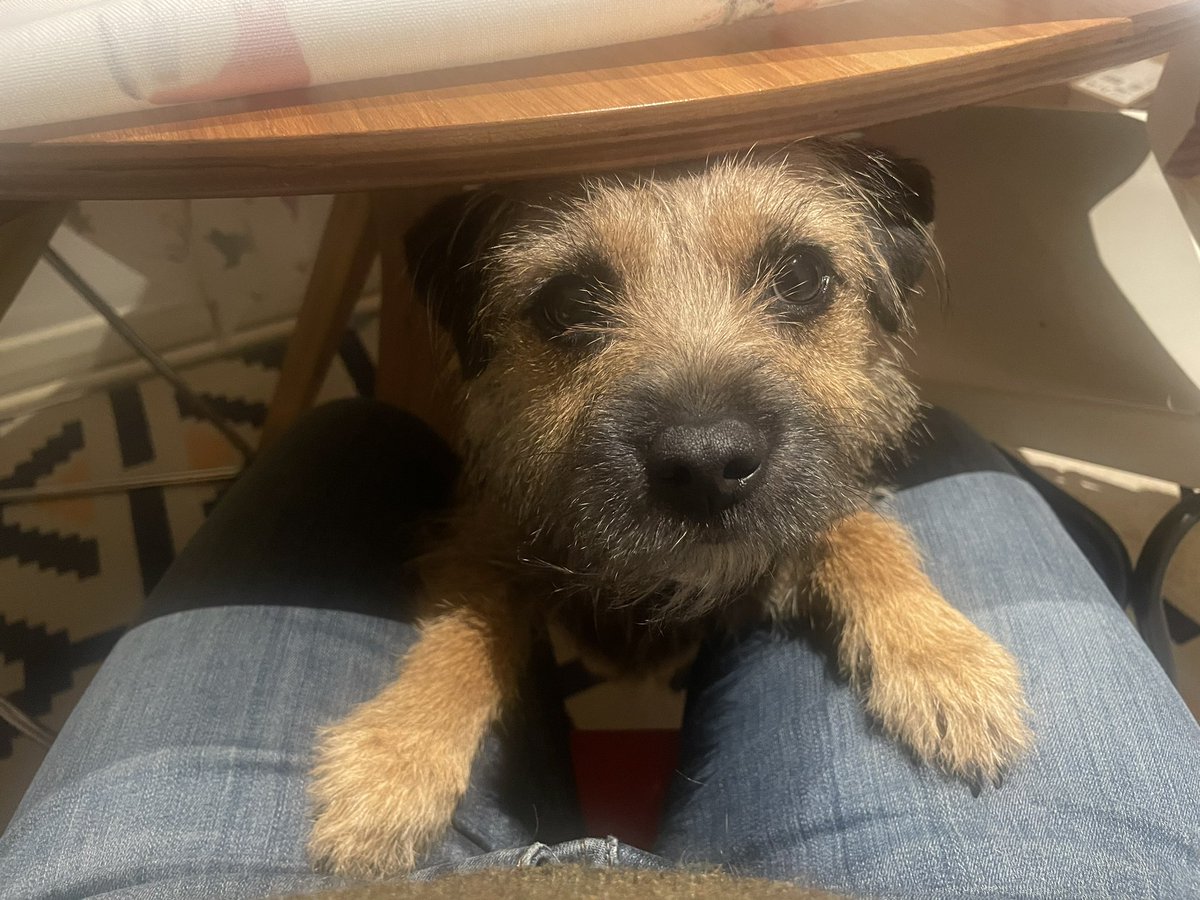 Fid Me. #BTPosse