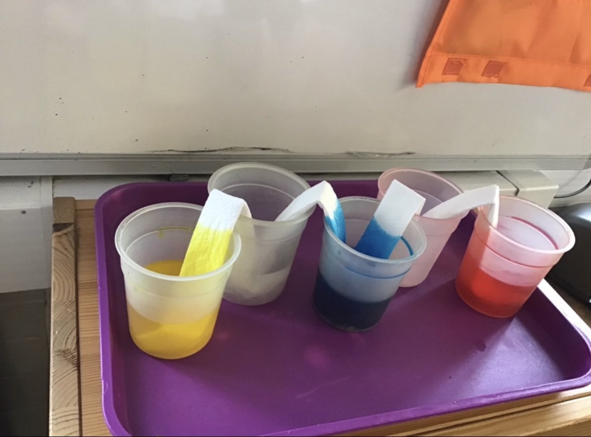 bspsofficial's tweet photo. What a fun week we’ve had for science week at school. We were amazed to hear about see Tim Peake’s space adventures for Mars Day. We completed some fun experiments and enjoyed our science scavenger hunt. #bsps #bspsreception #bspsscience https://t.co/vjFF9IEbIR