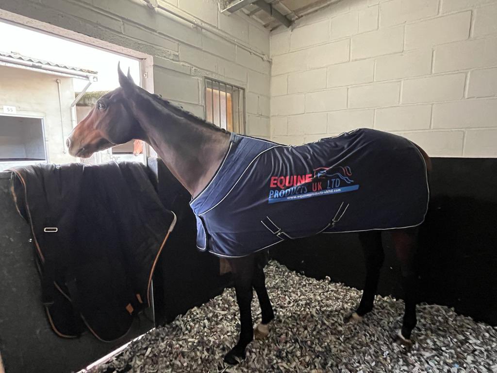 ParrRacing's tweet photo. 🔵 The Green Man 🟡 still looking for challengers at @kemptonparkrace. A welcome winner for the team, under a superb ride from Kaiya. Sausages in the morning for the team at Frankland Lodge, not forgetting treats for this handsome chap @equineprodsuk. #JPracing #Winner https://t.co/0OkZvETUzM