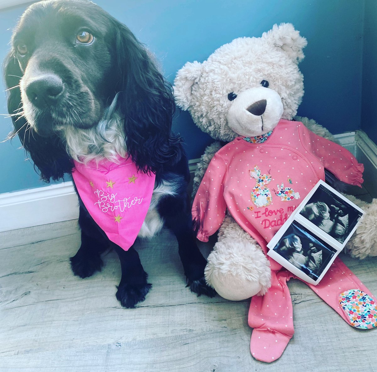 Emma-Louise Archibald tweet media