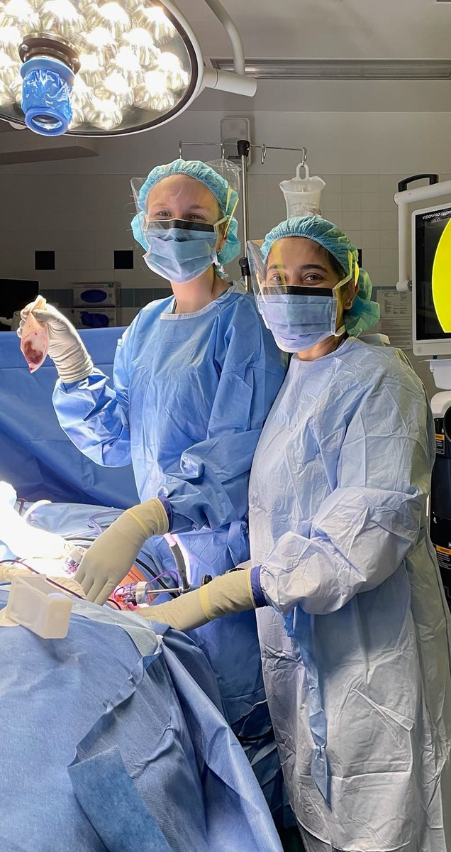 Uzma Rahman (@uzmarahmanmd) on Twitter photo Super ā intern <a href="/meghan_hotz/">Meghan Hotz</a> in the spotlight (quite literally) this week for doing her first appendectomy! and I get to enjoy my role as a resident educator.
PC: <a href="/JoshuaAMarksMD1/">Joshua A Marks MD</a>
<a href="/JEFFsurgery/">Jefferson Surgery</a> Super ā intern <a href="/meghan_hotz/">Meghan Hotz</a> in the spotlight (quite literally) this week for doing her first appendectomy! and I get to enjoy my role as a resident educator.
PC: <a href="/JoshuaAMarksMD1/">Joshua A Marks MD</a>
<a href="/JEFFsurgery/">Jefferson Surgery</a>