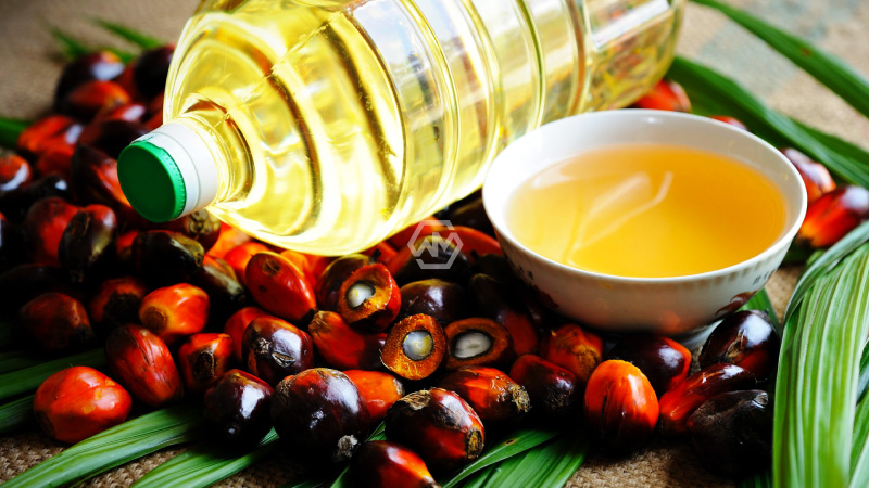WorldMagzine's tweet photo. Now the Brokers Concentrated on the MPOB Data
https://t.co/Nrl6bHa9fR
#Concentrated #MPOBData #123futures #PalmOil #fcpo @Goodvib75002247 @MicrosoftASIA
@mahapurushmaynk @hameed_sky
@commoditiesinfo @Teradata https://t.co/TN2xt86mvc