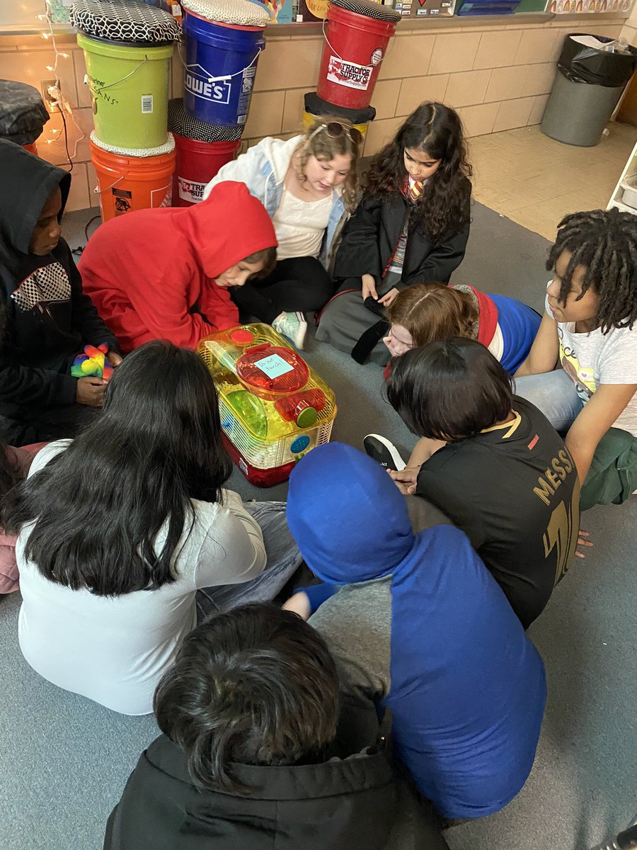 Carey Domena tweet media