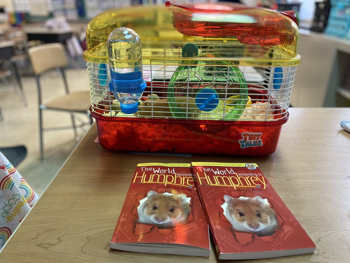 Carey Domena tweet media