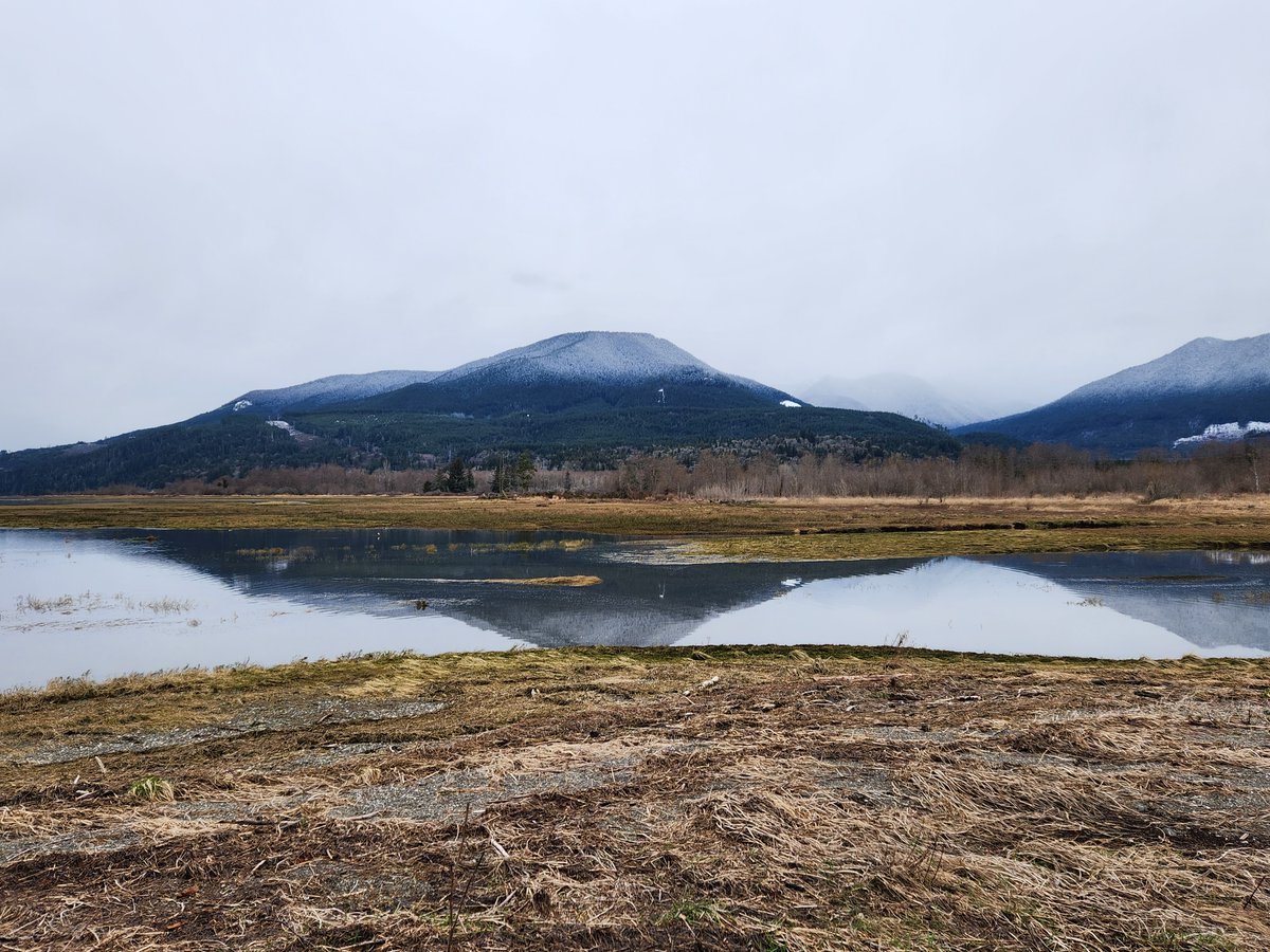 KayCanal's tweet photo. Mt Walker, Quilcene WA 9 March 2023 #MotherNature heals. #optoutside #lookup #movetolive #NaturePhotography https://t.co/FahZMiQ5AF