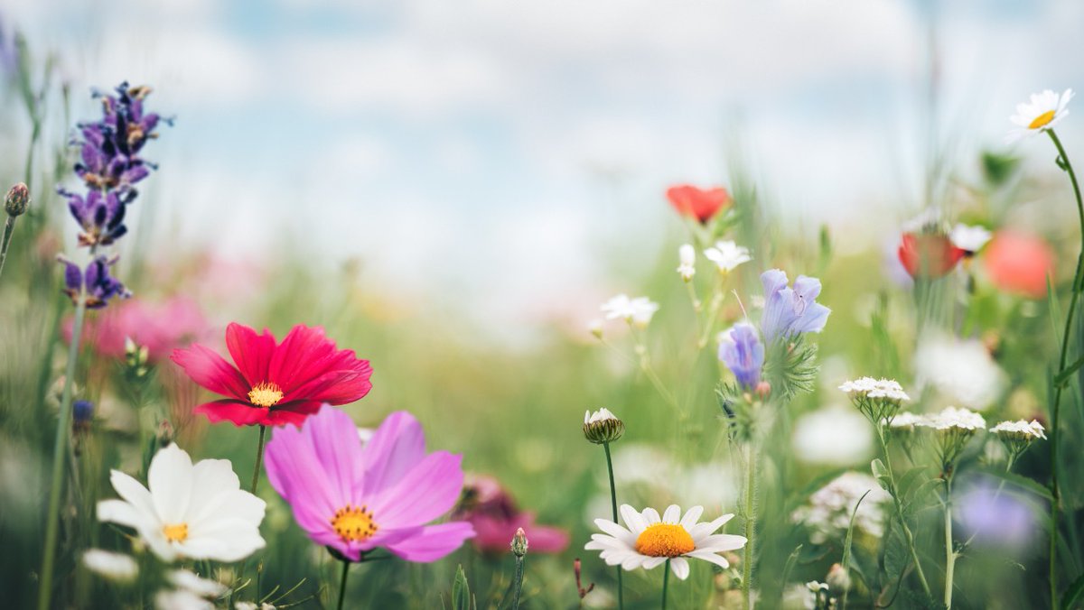 Ja queda res per la primavera!