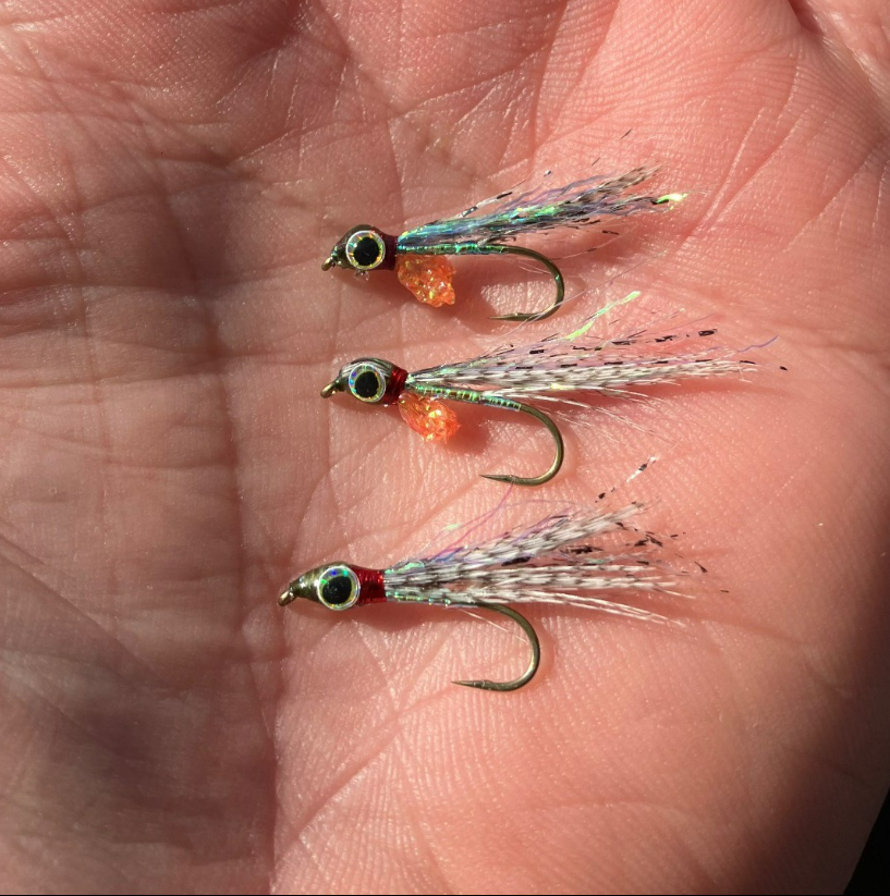 Saltwateronfly's tweet image. Simple, effective pattern
@bcwetfly
#flyfishing #flyfishbc #fishbc #gofishbc #regalvise #semperfli #souththompsonriver #alevin #streamerfly