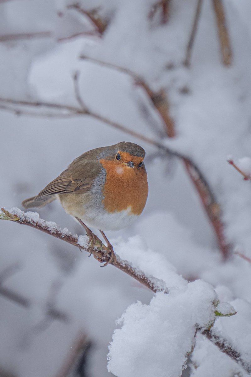 Jon Cartledge tweet media