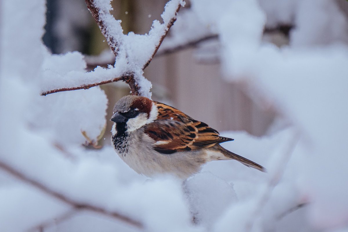 Jon Cartledge tweet media