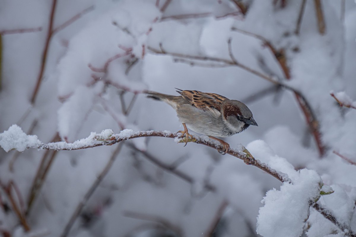 Jon Cartledge tweet media