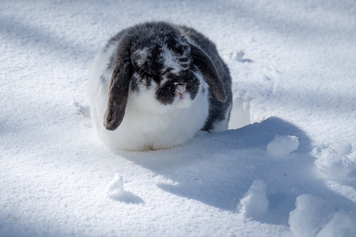 Jon Cartledge tweet media