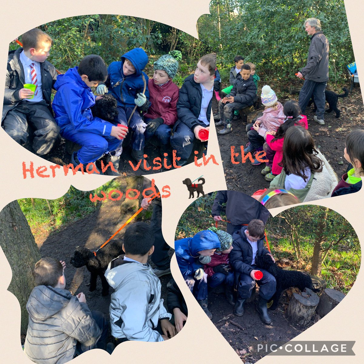 TyntesfieldMB's tweet photo. The fun just keeps on coming 😍…. And we were lucky enough to also have a visit from Herman, he was a very welcome guest 🐕🦺
#TPSLifeSkills #TPSwoodywanderers #TPSoutdoorlearning https://t.co/UFGQlIVKMF