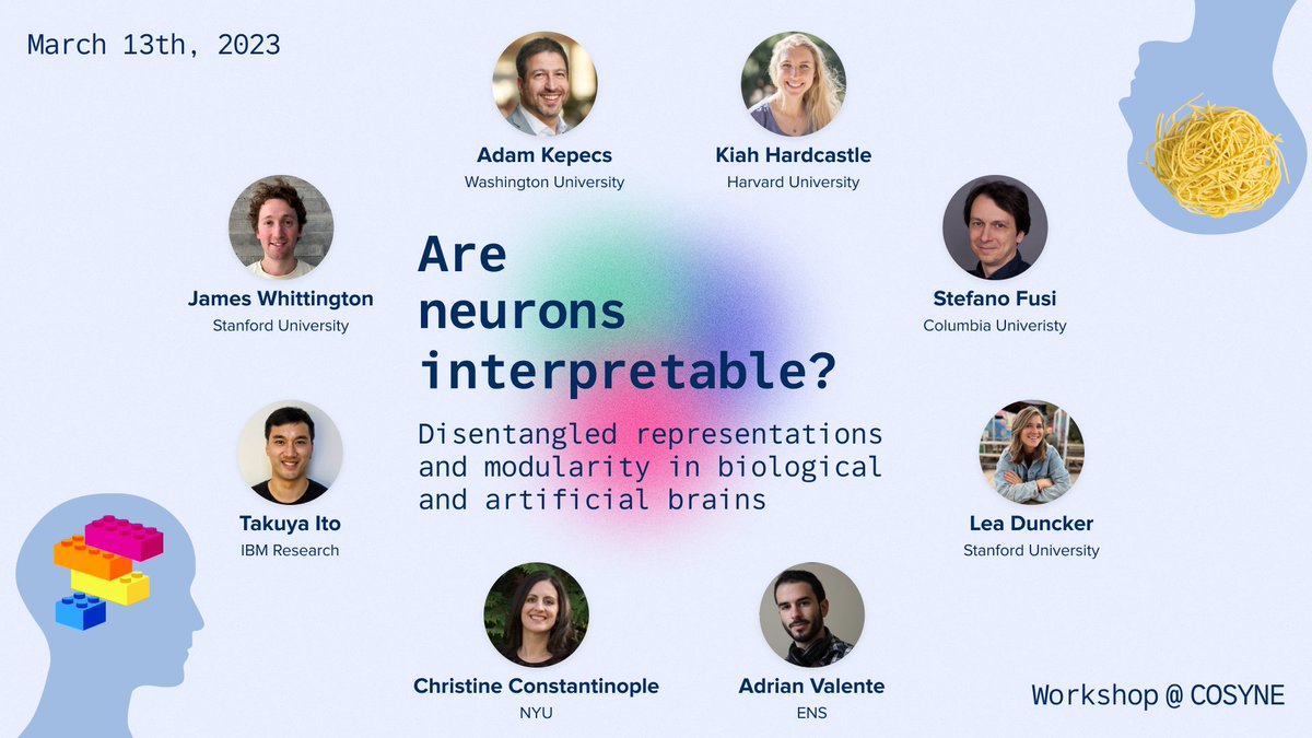 The season finale of the mixed 🍝 vs. modular 🧱 selectivity debate will take place this year at #cosyne2023 workshops!
Join us to hear what our stellar lineup thinks about single-neuron interpretability and disentangled representations!
Co-org w <a href="/wjeffjohnston/">Jeff Johnston</a> <a href="/jcrwhittington/">James Whittington</a>