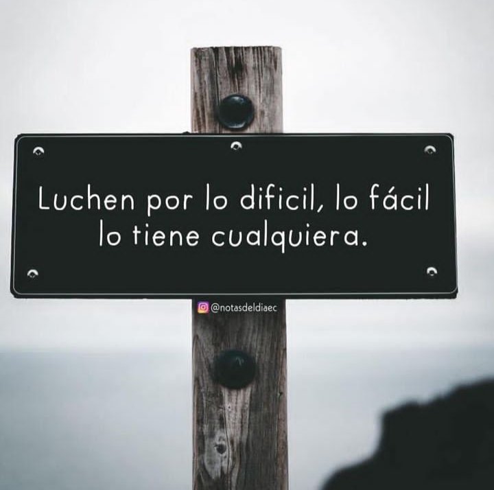 El Diario Político  (@escrito_ldeal) on Twitter photo 