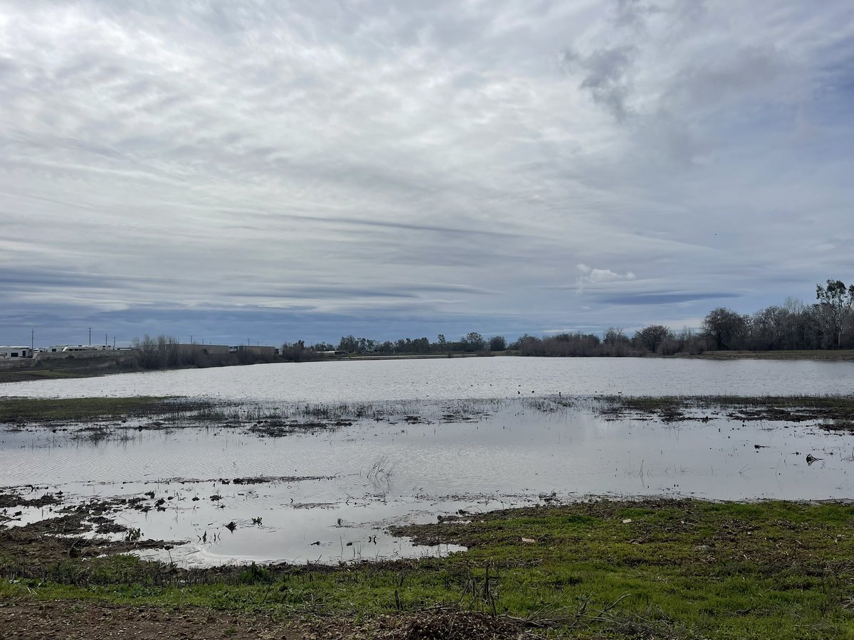 Landnerd's tweet image. A little a little more water in Plumas Lake. Not looking like we’re going to spill this weekend.