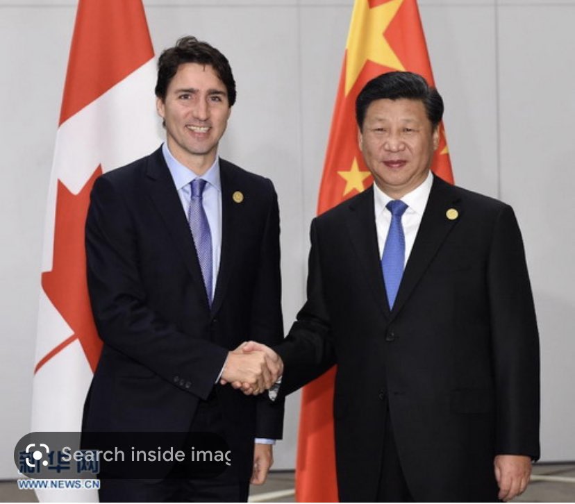 BertRetriever's tweet photo. @JustinTrudeau @cafreeland #TrudeauBrokeCanada #TrudeauForTreason #TrudeauElectionFraud #TrudeauillegitimatePM #TrudeauCorruption  #TrudeaumustGoNow #TrudeauDestroyingCanada https://t.co/NOtvOLvUg4