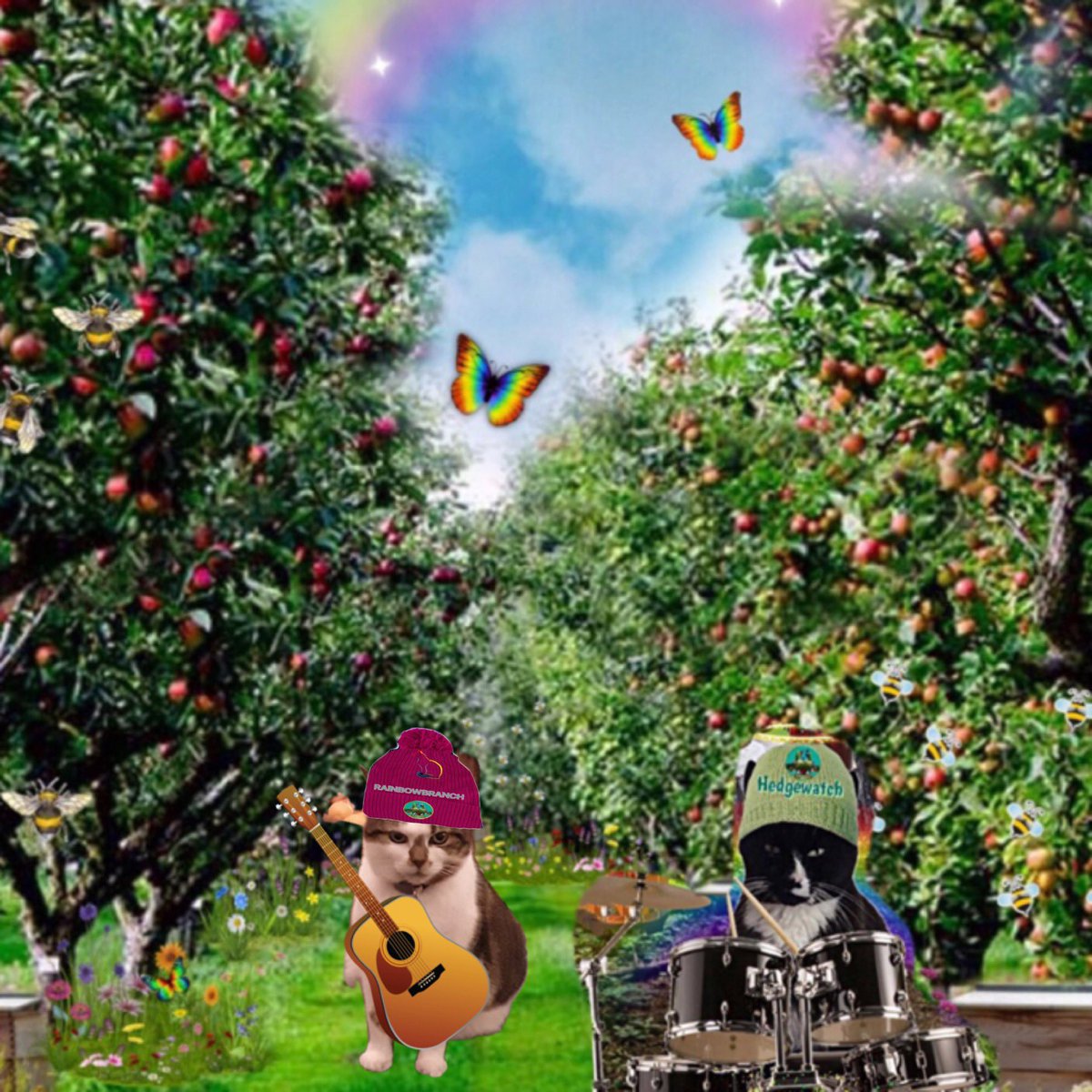 @Hedgewatchers @Charliebear2508 @AlmaTheCat1 @MatthewSummors @pamalamiam Here I am with my guitar and singing along to Charlie’s magnificent drumming. #rainbowbranch #hedgewatch everyone welcome to join in either here OTRB or down there! We can hear you!!