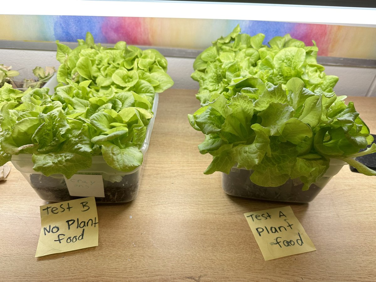 Classroom/farm to desk/table