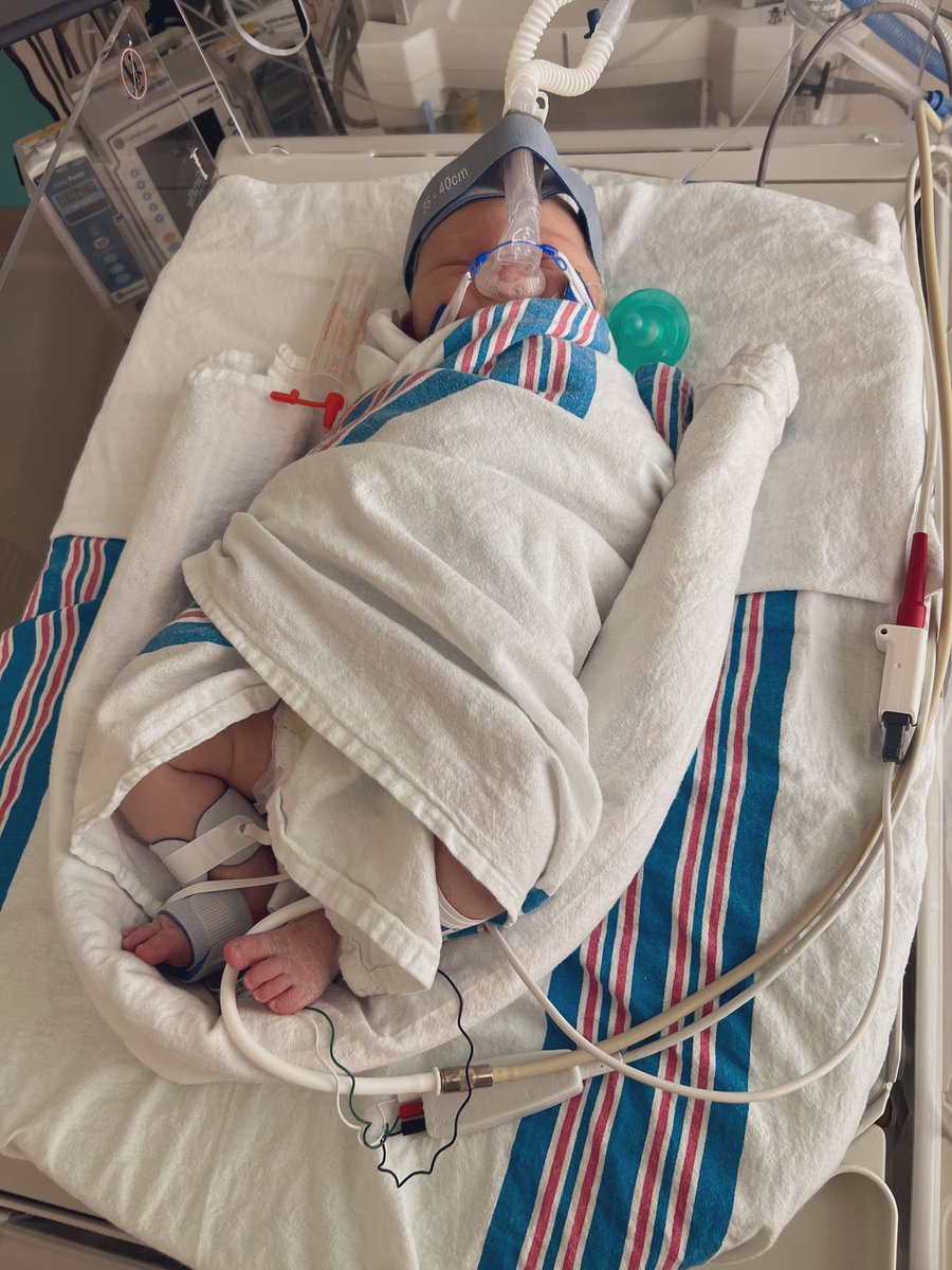 Jenn Tracker tweet media