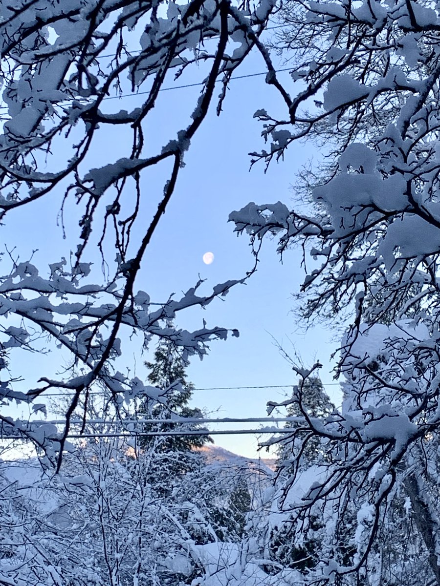 Moon set through the snowy tree branches taken early this morning. 
#coldcreekinn #shasta #mtshasta #mountshasta #siskiyou #discoversiskiyou #visitcalifornia #californiasnorth #upstateca #shastacascade #california #norcal #adventure #escape #hiking #swimming #mtbiking #mountains