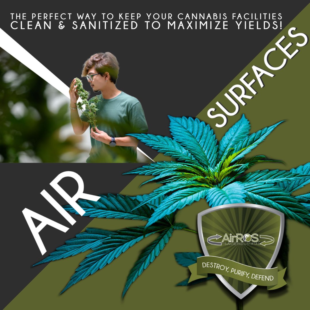 AirROSbySAGE's tweet image. #safesurfaces #cannabisindustry #indoorgrow #commercialgreenhouse #craftcannabiscultivation #cannabistesting #cannabisfarm #michigancannabiscommunity #growroomsetup #massachusettscannabis #cannabiscultivation #craftcannabiscultivation #cannabisgreenhouse #decontamination