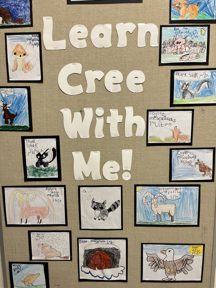 SASCBE's tweet image. Students created oral stories to go with their animal drawings after being asked prompts:  Why did this animal live in grasslands? Where would this animal find its prey?
Where did this animal go in the winter? What challenges could this animal face?
@yyCBEdu @Indigenous_cbe
